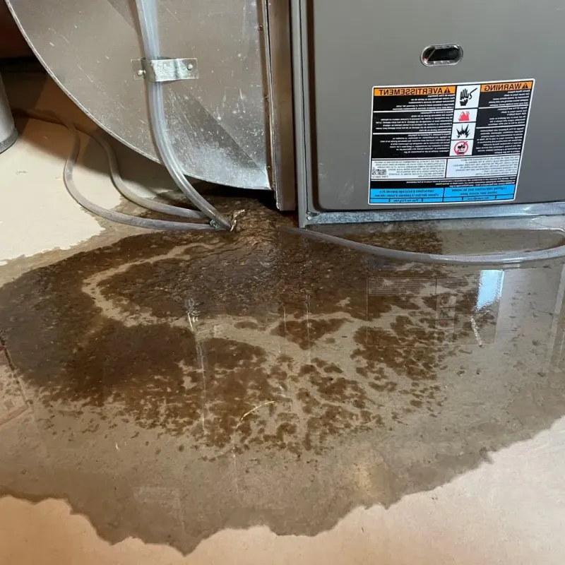 Pipe Burst and Leak Restoration in Ralston, NE